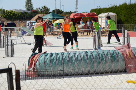 Reconocimiento Grado I Torrevieja mayo 2.014
